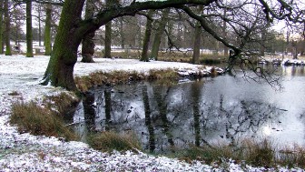 Dunham Park