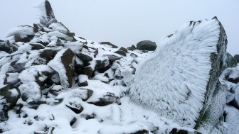 Red Screes