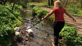 Bradley Brook in Philips Park