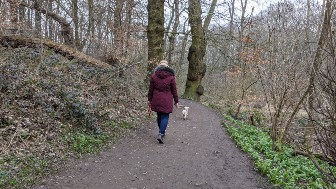 Worsley Woods