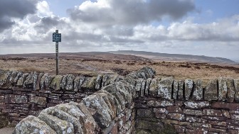 Great Hill Summit Shelter