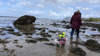 The Spinnies Nature Reserve