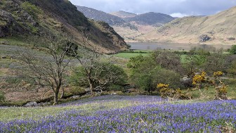 Crummock Water