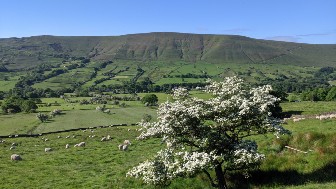 Pennine Way