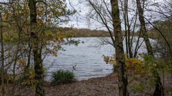 GM Ringway Stage Two