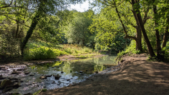 Daisy Nook Country Park