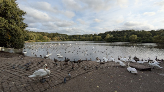 Moses Gate Country Park