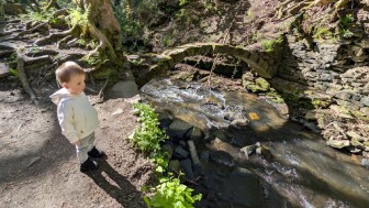 Healey Dell