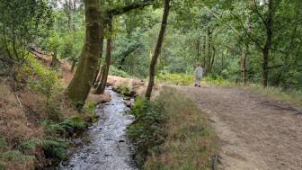 Stalybridge Country Park