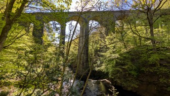 Healey Dell