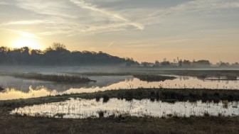 Kersall Wetlands