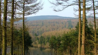 Macclesfield Forest