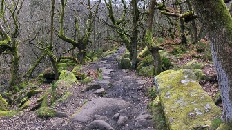 Padley Gorge
