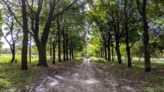 Rivington Country Park