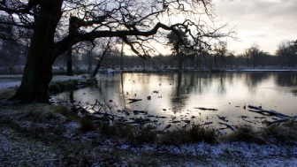 Smithy Pool Dunham Park