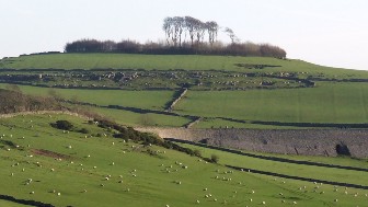 The Roystone Grange Trail